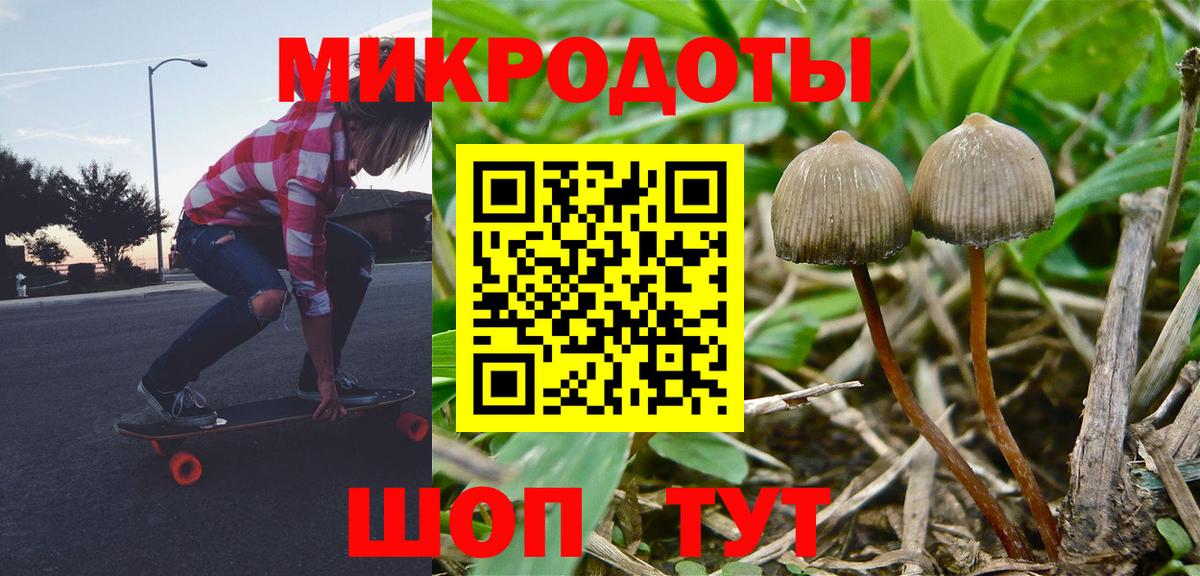 Галлюциногенные грибы мицелий Крымск